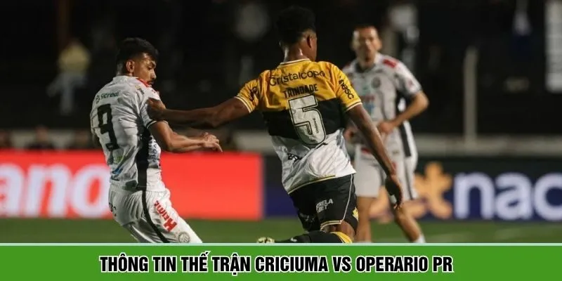 Cặp đấu Criciuma vs Operario PR có nhiều điểm hấp dẫn
